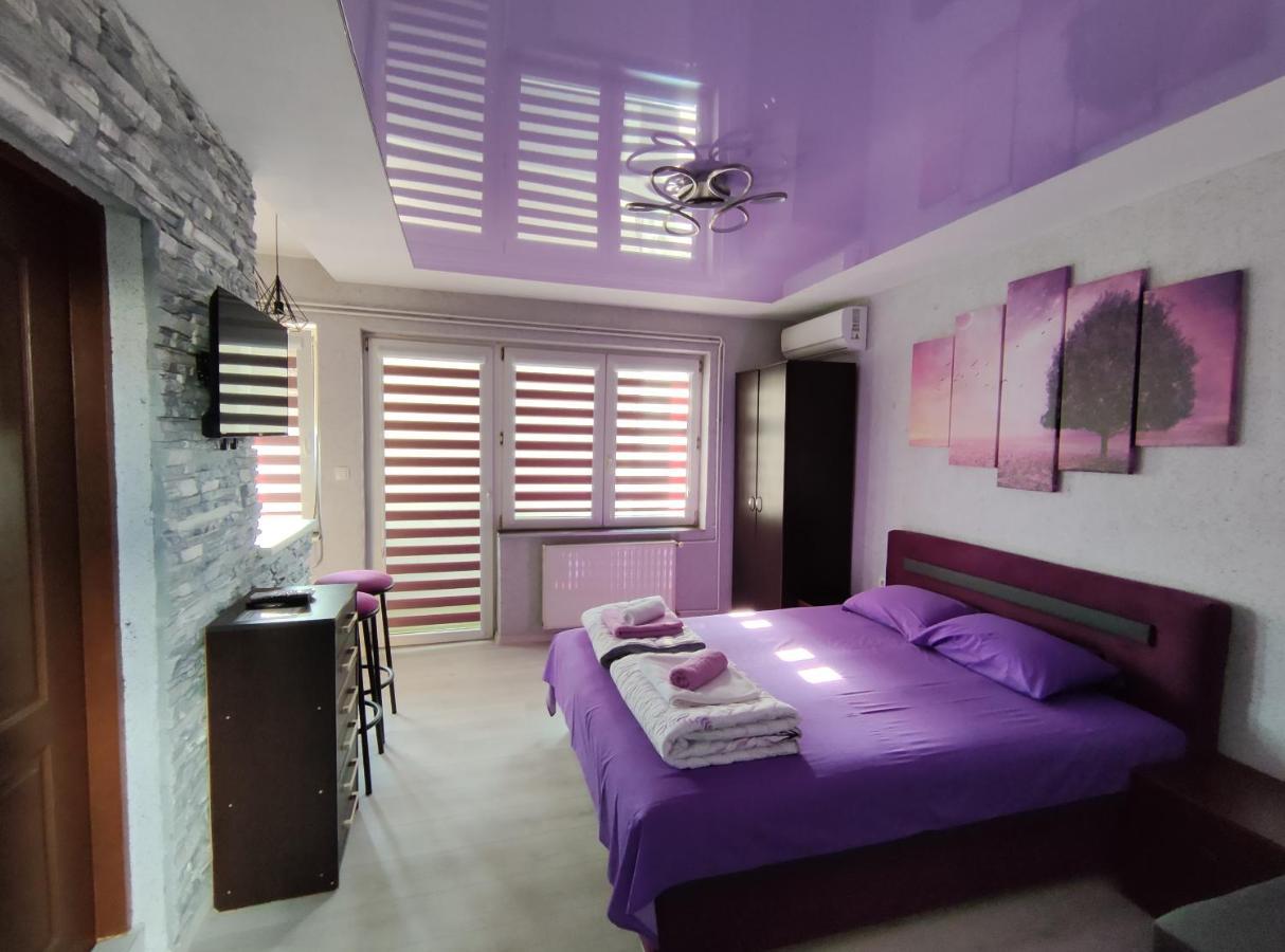 Centrum Lux Apartment Nis Bagian luar foto