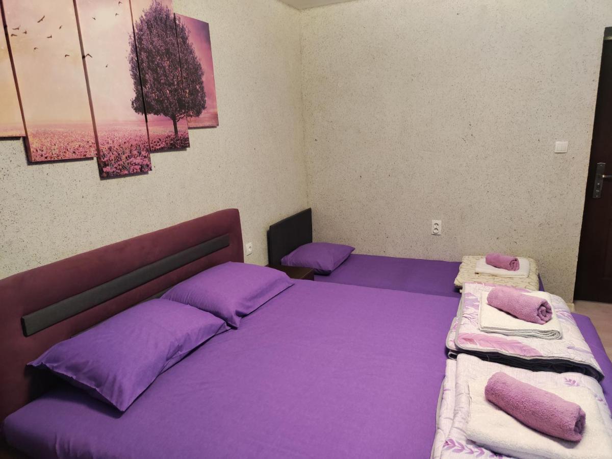 Centrum Lux Apartment Nis Bagian luar foto